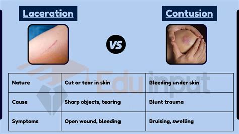 puncture & impact testing|puncture vs laceration.